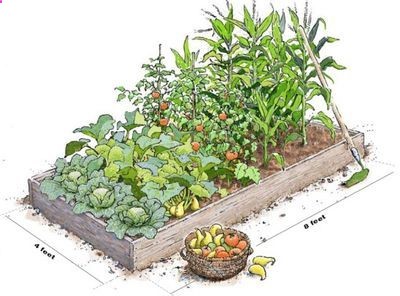 Raised Garden Beds: How to Build Raised garden beds are fairly easy to construct and even easier to maintain. Here is advice on how to build raised garden beds for your backyard.