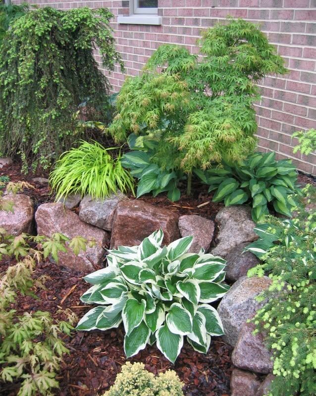 Front yard landscaping idea! Love the two separate levels using the rocks.