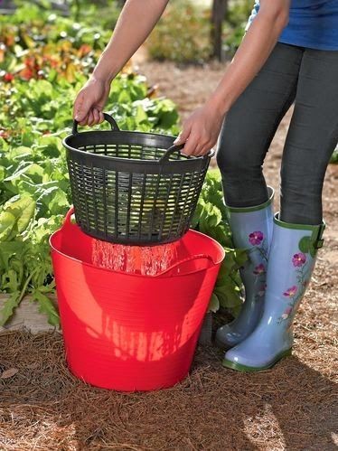 Very smart! Rinse veggies right in the garden and then re-use the water on the plants. Plastic bucket and small laundry basket/colander from Dollar Tree would do nicely.