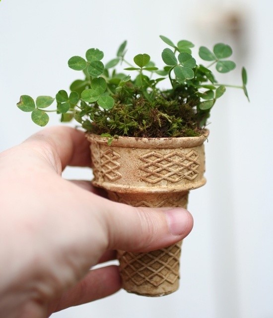 start seeds in ice cream cones and plant in to ground.how clever, biodegradable