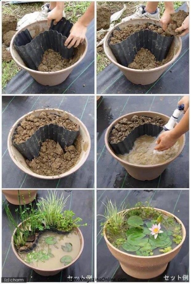 DIY Garden Pond in Containers