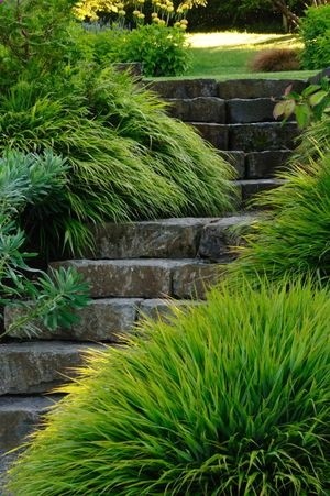 grasses #GISSLER #interiordesign