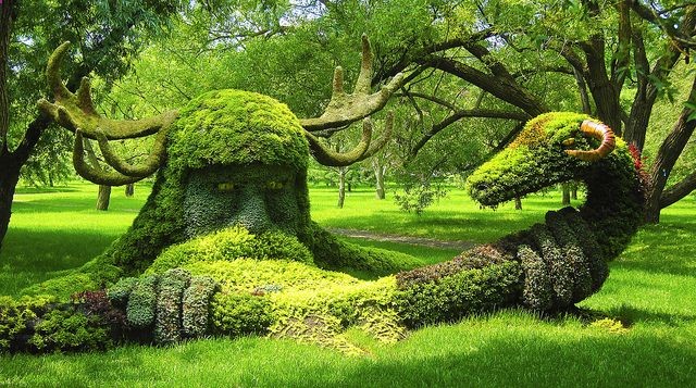 Montral Botanical Garden.