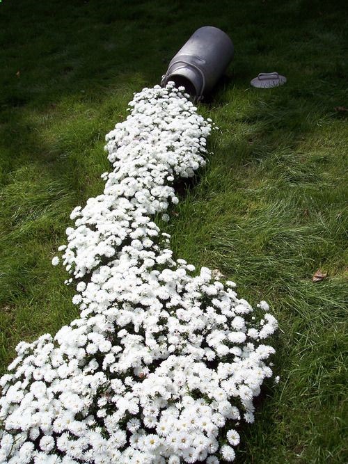 Love this idea..