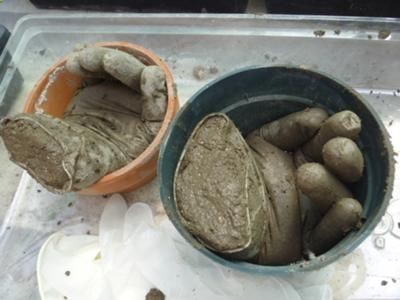 hypertufa hand planters