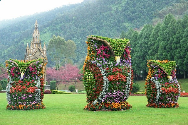 soooo cool Owl Garden