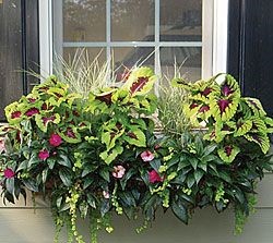 Side Planting – Products – Window Box Planters