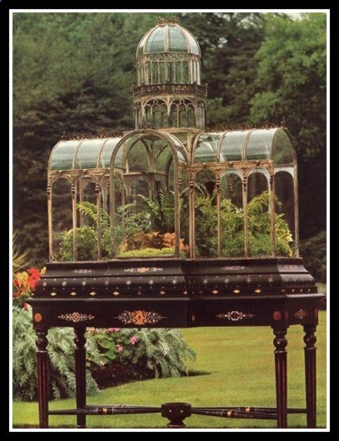 19th-century Wardian Case.jpg (490638)
