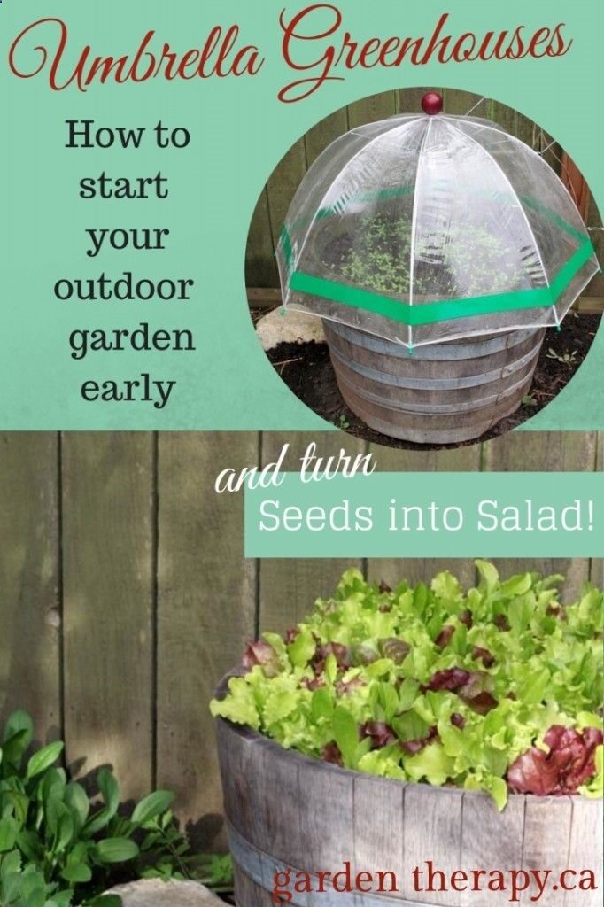 Umbrella Greenhouses – How to Start Your Outdoor Garden Early