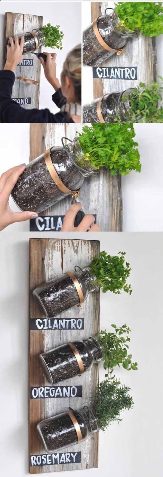 Even if you dont have a backyard or a spacious kitchen, you can have an herb garden using mason jars!