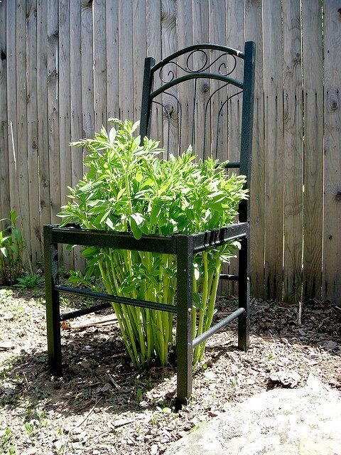 gardening idea…