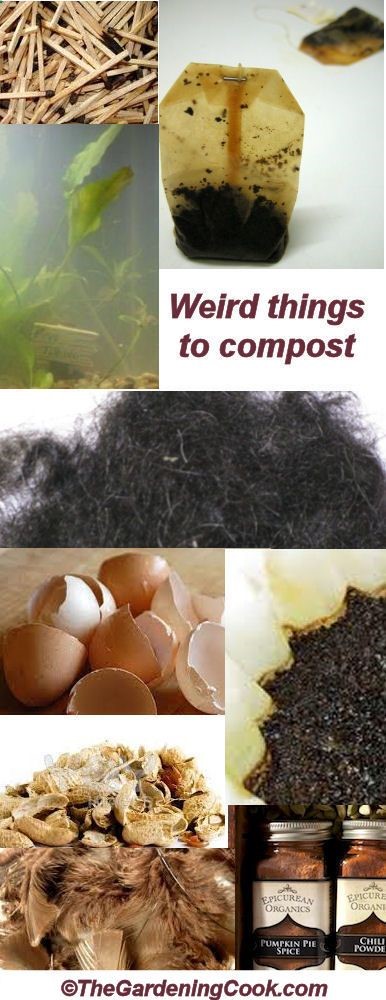 Weird things you Did not Know you Could compost. – The Gardening Cook