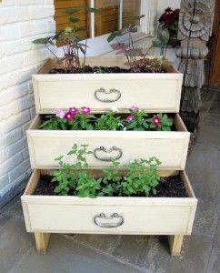 drawer flower pot