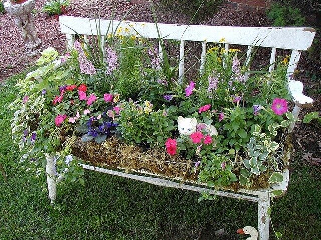 Gardening Ideas