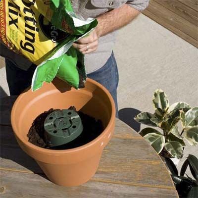 When repotting a plant, turn a plastic pot upside down in the new, larger container and add soil around it. When youre done, pull out the plastic pot and there will be plenty of room inside the bigger container to place your plants root ball.