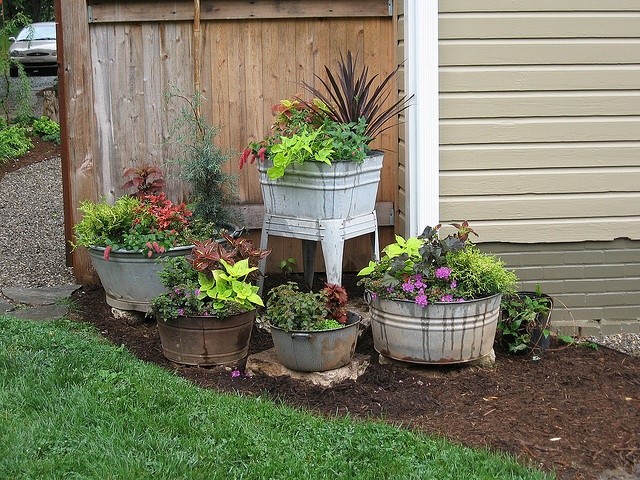 Love all the old galvanized containers!
