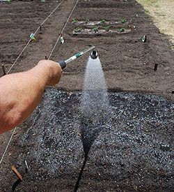 Great site for starting a garden when youre clueless