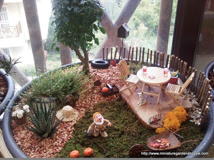 miniature garden example