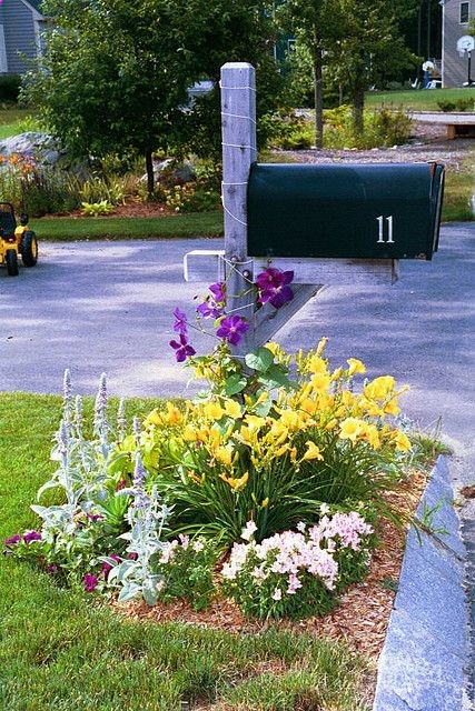 mailbox landscape