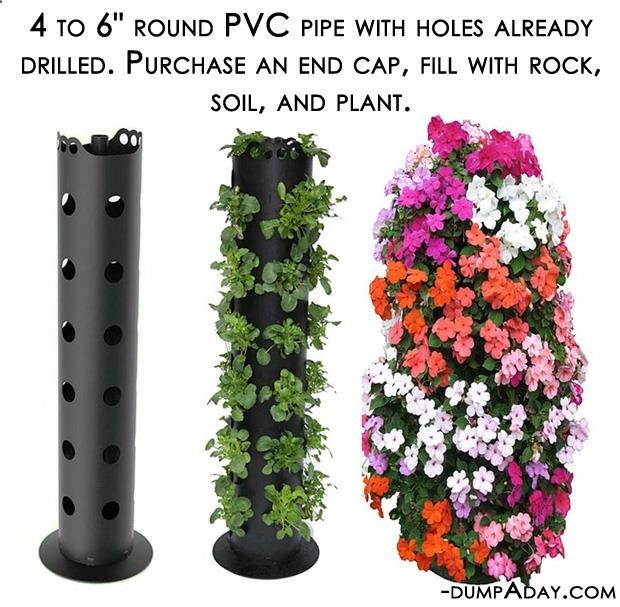 A cheap, easy beautiful way to create vertical vegetation in my garden!