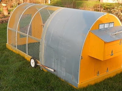 A Yolkswagon Chicken Tractor