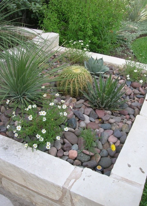 Design My Yard – Before/After – Brentwood