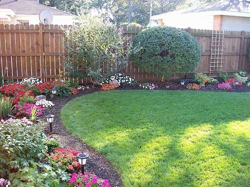 #Lawn curves