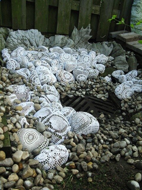 rock garden
