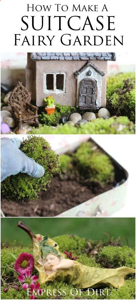 How to make a SUITCASE fairy garden – give those wee folk a place to live and play! Great beginner garden project to do with kids. #fairygarden #spon
