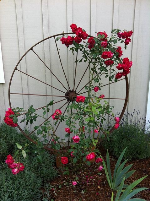 Wagon Wheel Rose Trellis