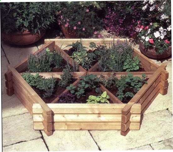 Growing Herbs http://@Darcy Fredrickson Info Zone