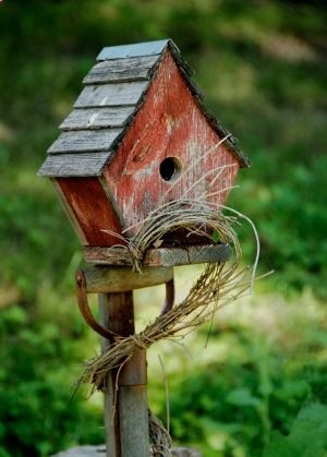 rustic bird house …