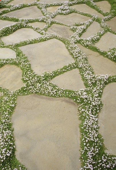 Garden Path/ KCM