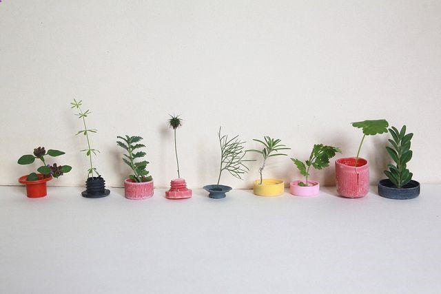 Lined Up photograph by Sabine Timm