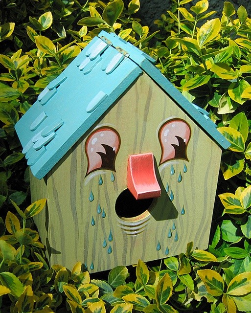 Cute Birdhouse!
