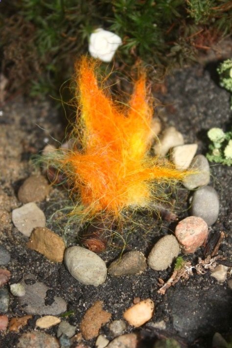 Juise: Fairy Garden: Expand and Furnish with lots of fairy garden ideas and how-tos