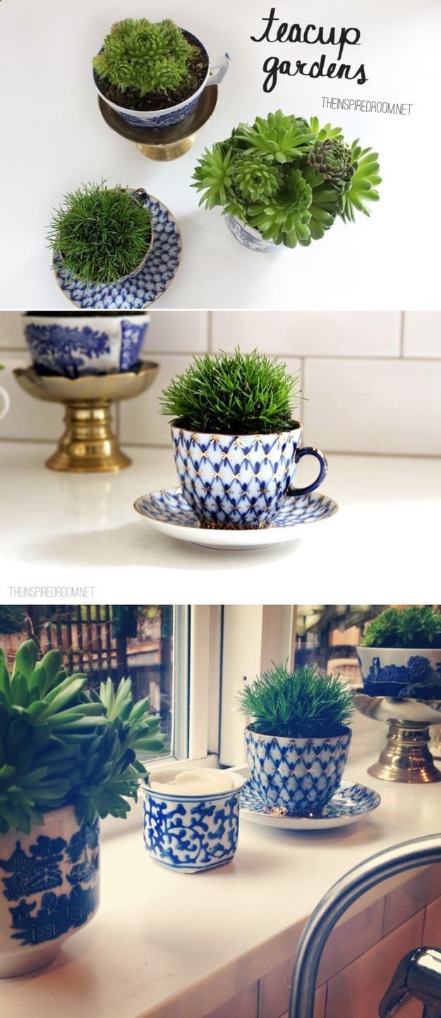 Turn teacups into plant holders.