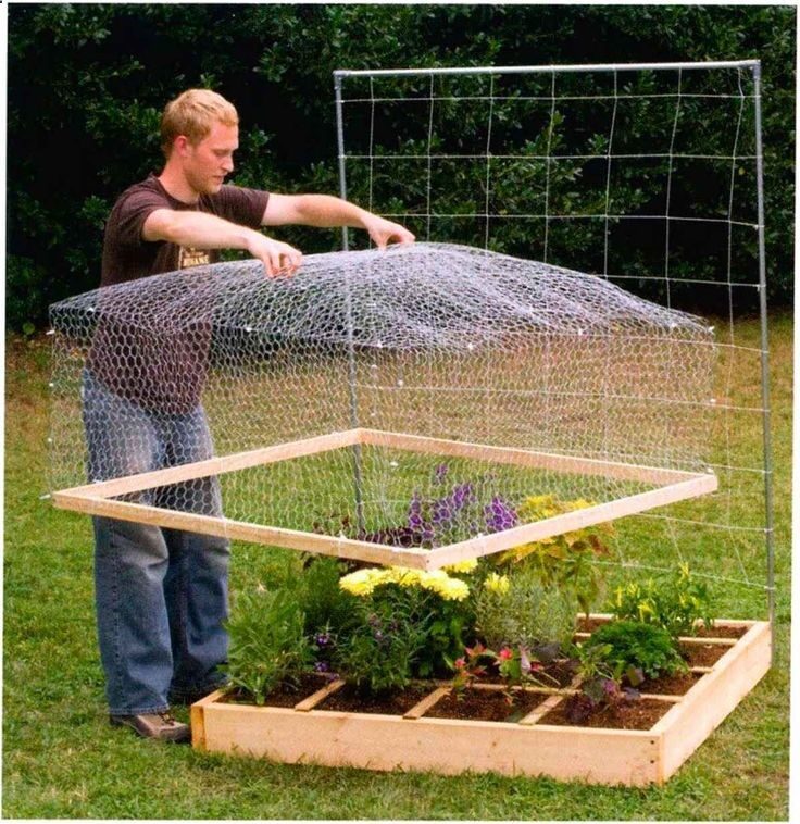 This will keep all kinds of critters from taking your harvest.