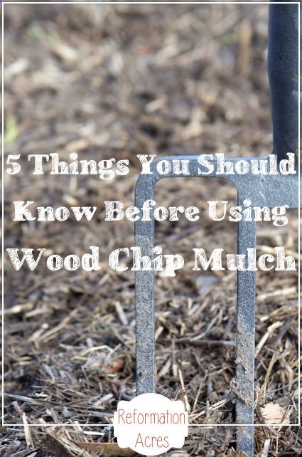 Thinking about the pros and cons of wood chip mulching for your annual vegetable garden this year? Here are 5 things you should know before spreading wood chips over your garden.