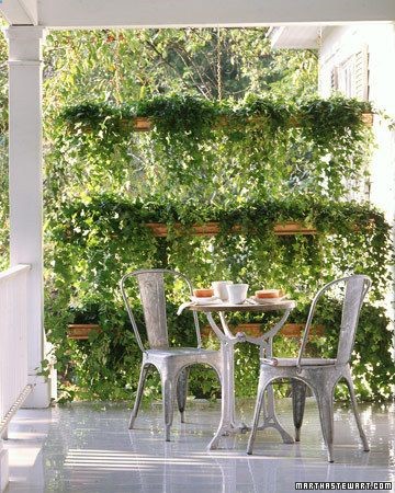 great privacy screen!