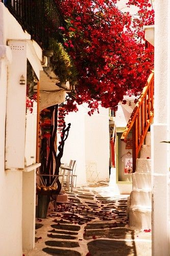 This is why I loved Mykonos, Greece; the quaint cobble streets, beautiful bouganvillea, and of course the Gyros!