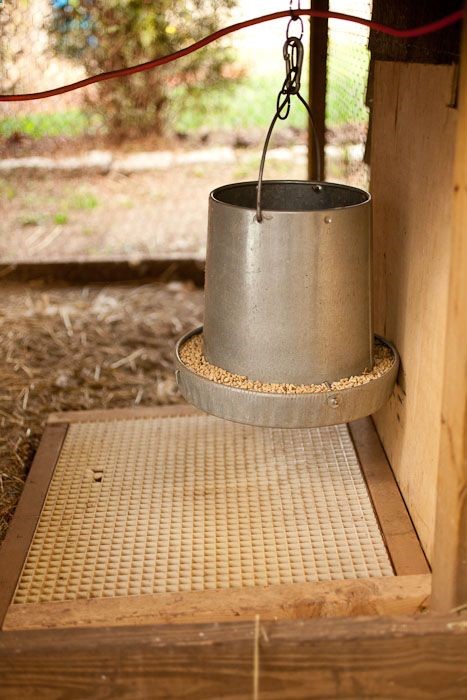 Blog: Backyard Chicken Coop Designs Smart way to not waste food!