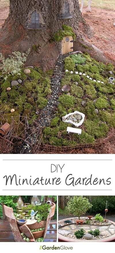 DIY Mini Gardens  Ideas  Tutorials!