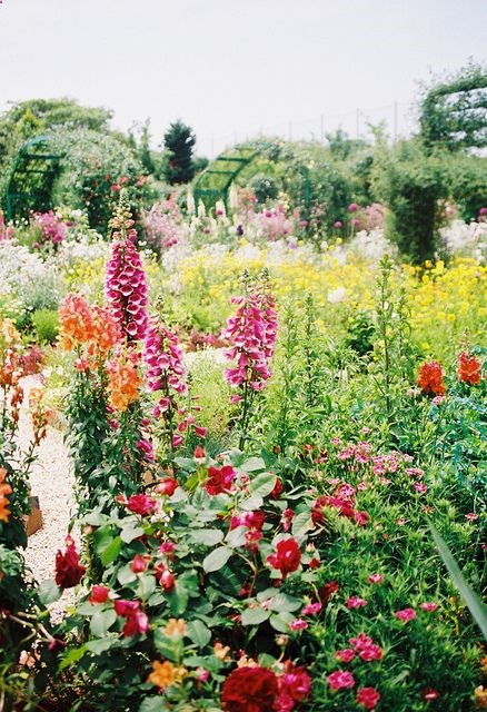 Cool – Colorful Wild Garden