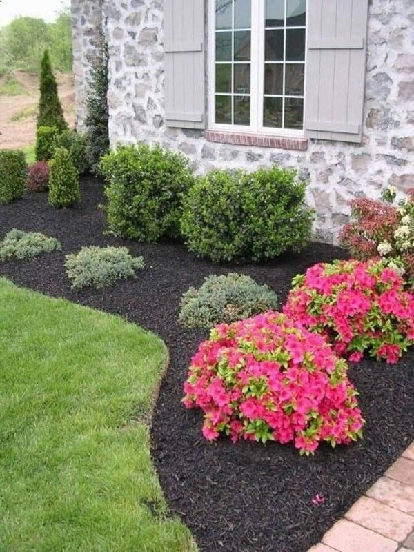 stunning and inexpensive landscape ideas