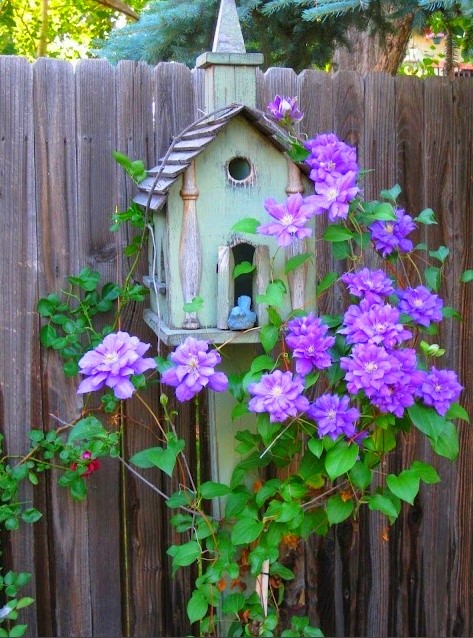 .never realized how much I loved purple, lavender, lilac colors!!!!! until I came to Pinterest!!!!!!!!